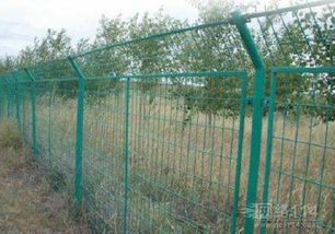 筑牢無形之盾 防護網(wǎng)的多元應用與深遠意義